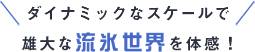 ダイナミックなスケールで雄大な流氷世界を体感！